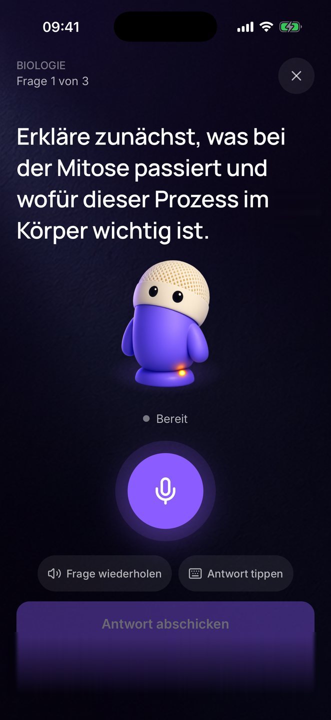 Miko stellt die Frage